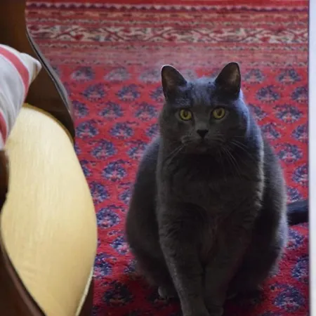 住宿加早餐酒店 La Scelta